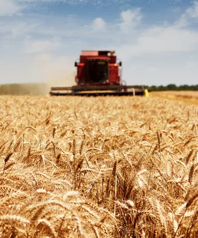Agro