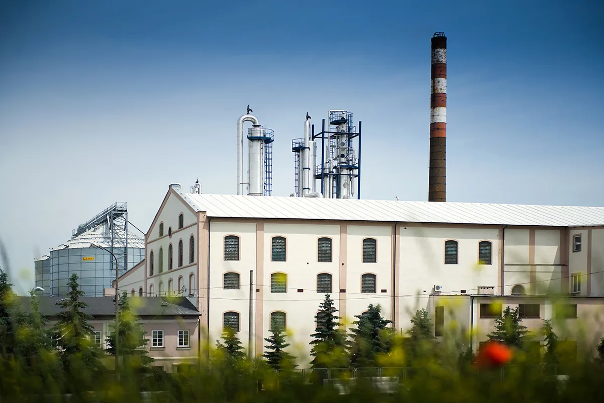 Zbiersk